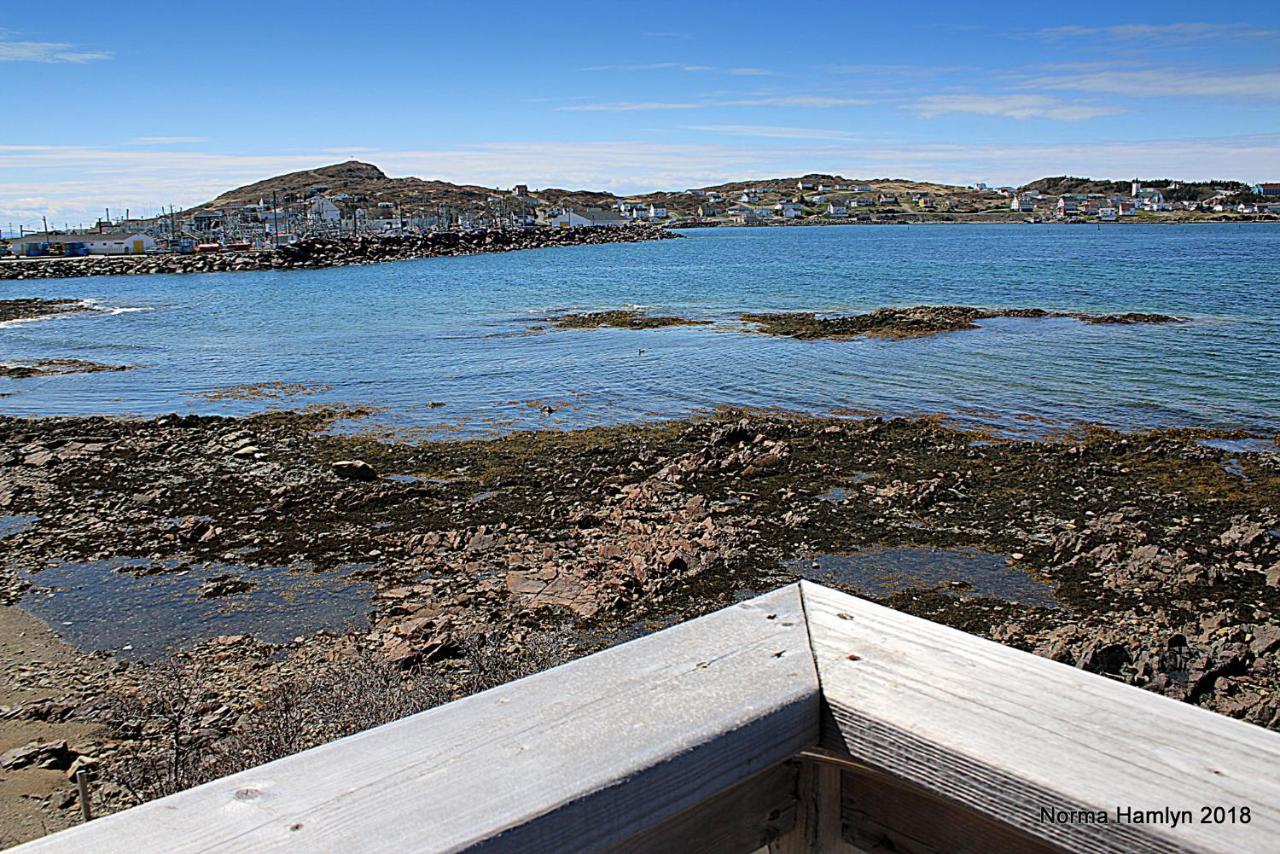 Toulinguet Inn - Suites Twillingate Exterior photo